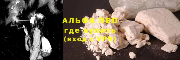a pvp Магас